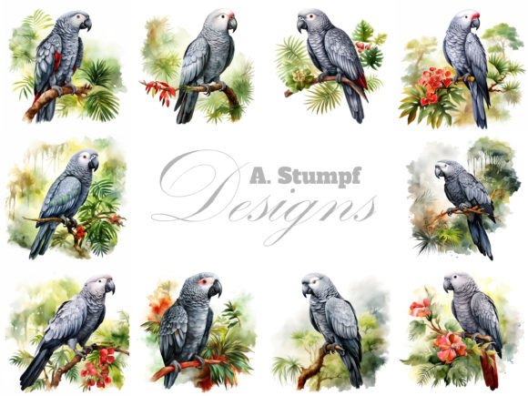 African Gray Parrot Bird Clipart Set: A Designer's Toolkit
