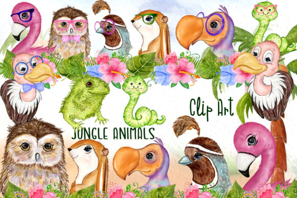 Tropical Birds Cute Safari Animals: A Watercolour Design Asset